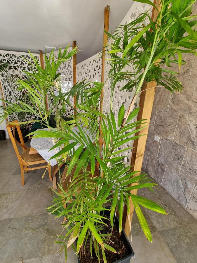 Diamond Luxury Apartment - حيفا المظهر الخارجي الصورة